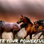 Create your powerful life Online-Kongress
