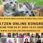 Katzen Online-Kongress | Katzenfutter, Naturheilverfahren, Erste Hilfe, ...