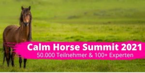 Calm Horse Summit Header